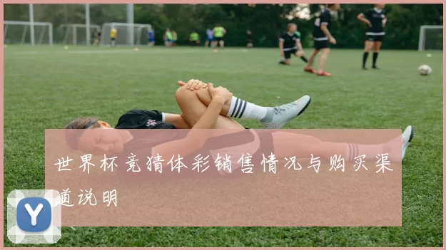 世界杯竞猜体彩销售情况与购买渠道说明