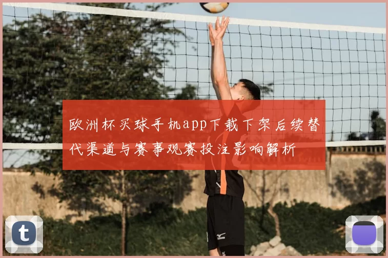 欧洲杯买球手机app下载下架后续替代渠道与赛事观赛投注影响解析