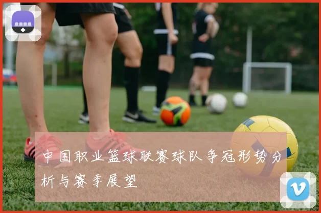 中国职业篮球联赛球队争冠形势分析与赛季展望